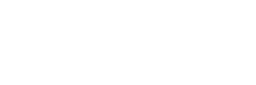 SNSI