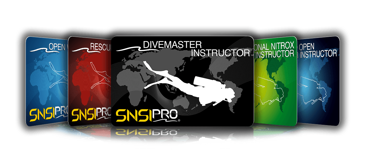 SNSI-Instructor-Karten