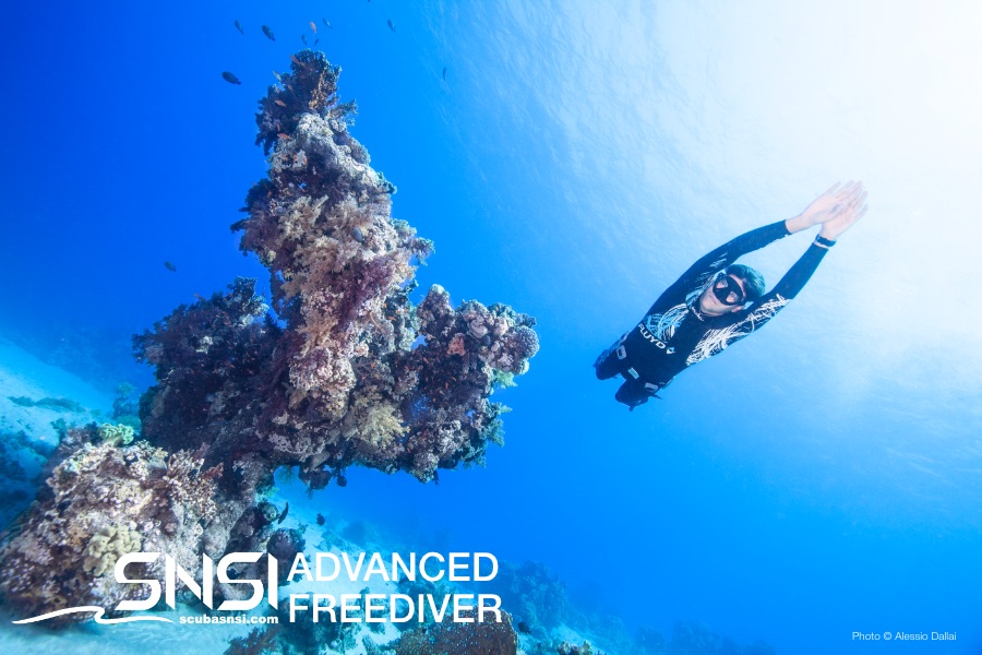 SNSI Advanced Freediver Image
