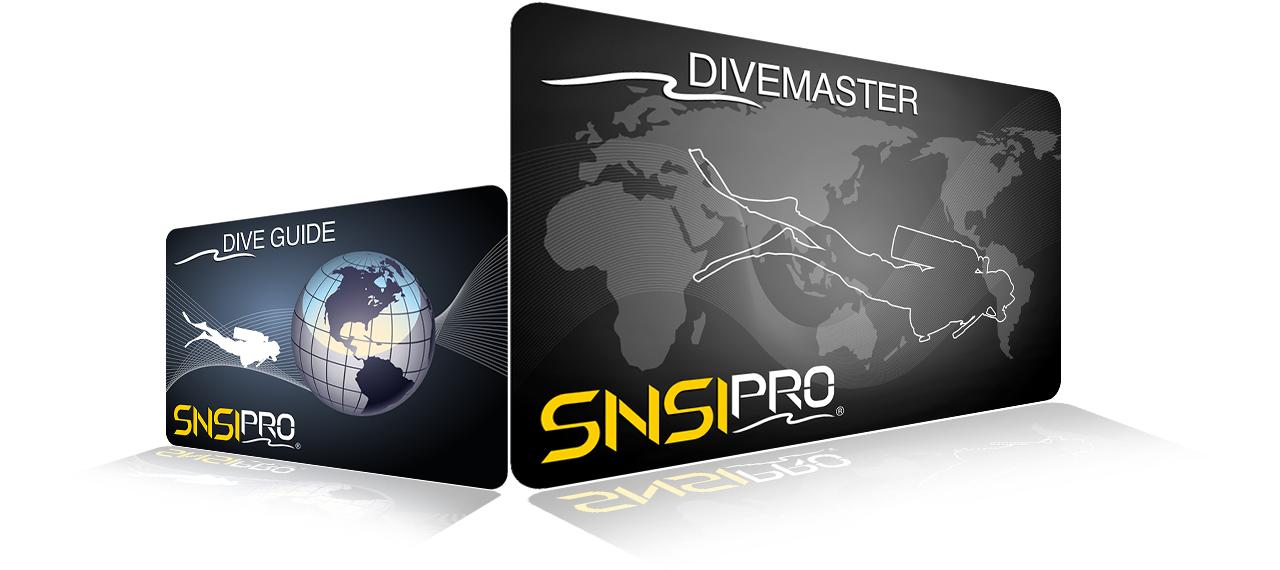 SNSI Dive Guide & Divemaster Cards
