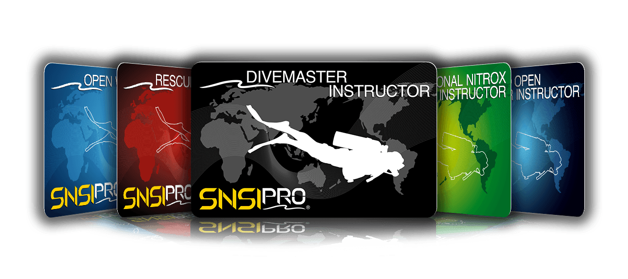 Certificaciones de Instructor SNSI