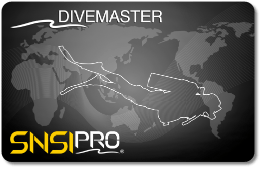 SNSI Divemaster CCARD