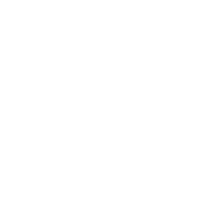 SNSI BuyancyBar DNA Image_456x460