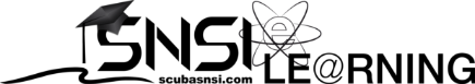 SNSI Elearning Logo_217x44