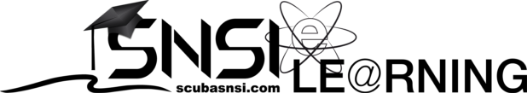 SNSI Eラーニングロゴ