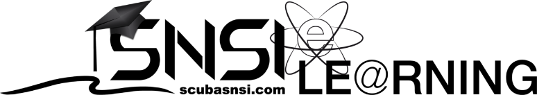 SNSI Elearning Logo 774 x 137
