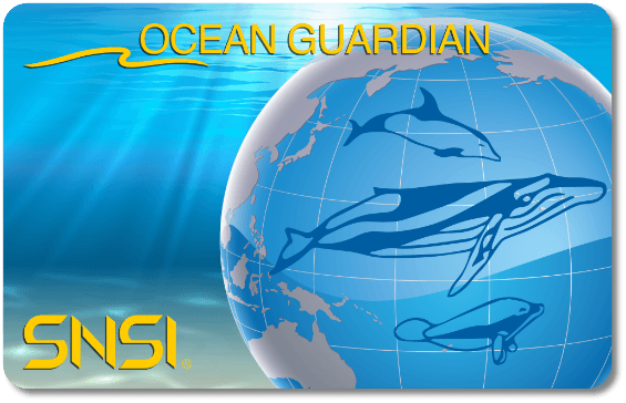 Brevetto SNSI Ocean Guardian