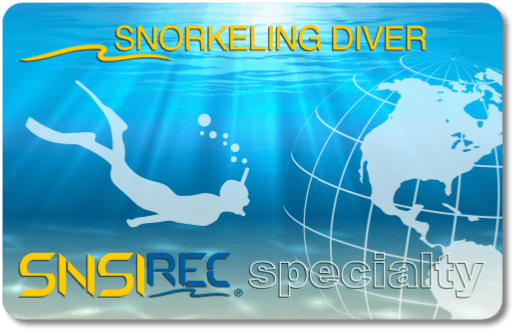 SNSI Snorkeling Diver ccard