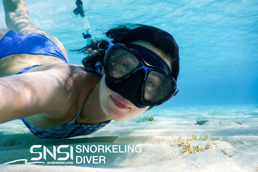 SNSI Snorkeling Diver image