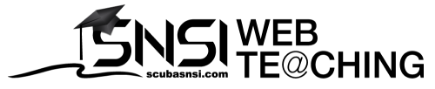 SNSI Webteaching Logo_217x44