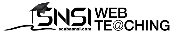 SNSI Webteaching Logo