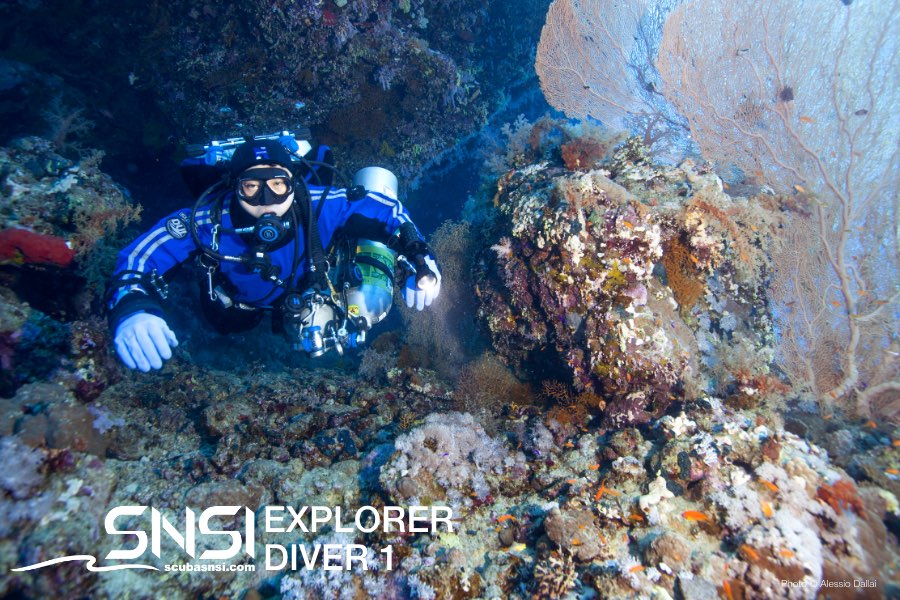 SNSI Explorer Diver 1 Image