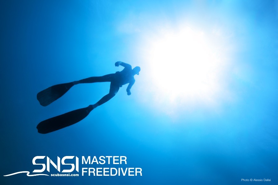 SNSI Master Freedivier Image