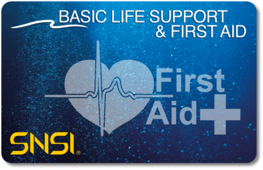 SNSI BLSD FIRST AID CARD