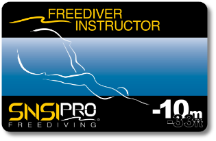 SNSI Open Water Instructor CCard