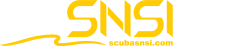 Logo SNSI Professional