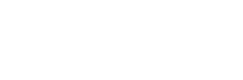 SNSI Logo White