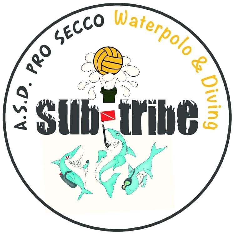 Logo_subtribe